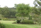 East Lindfieldresidential-landscaping-40.jpg; ?>